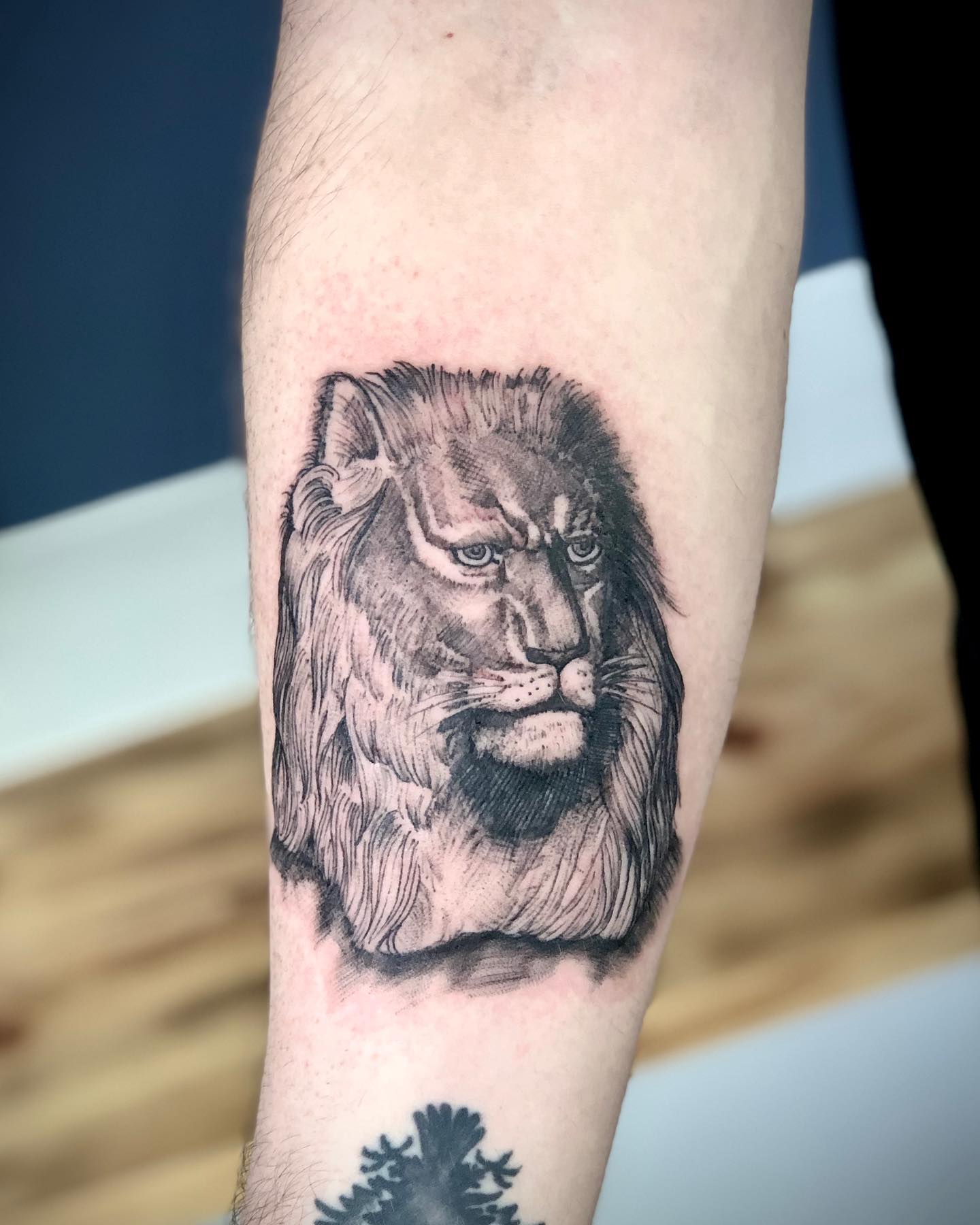 Realistic Lion