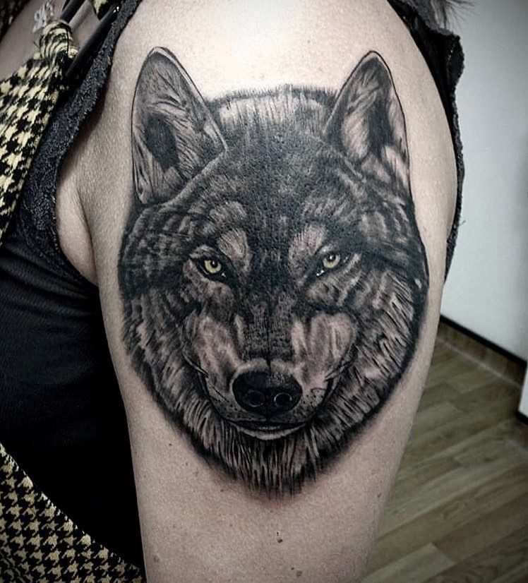 Realistic Wolf