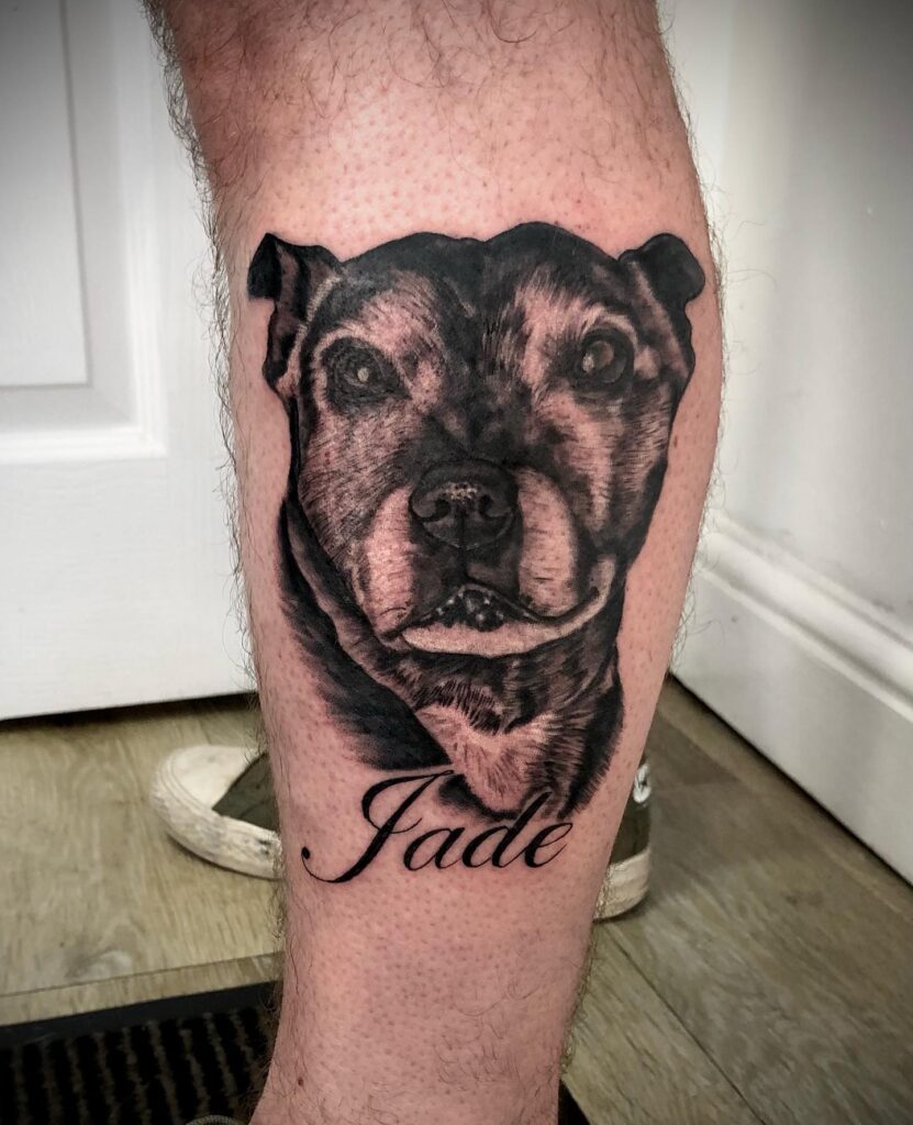 Realistic Dog Staffy