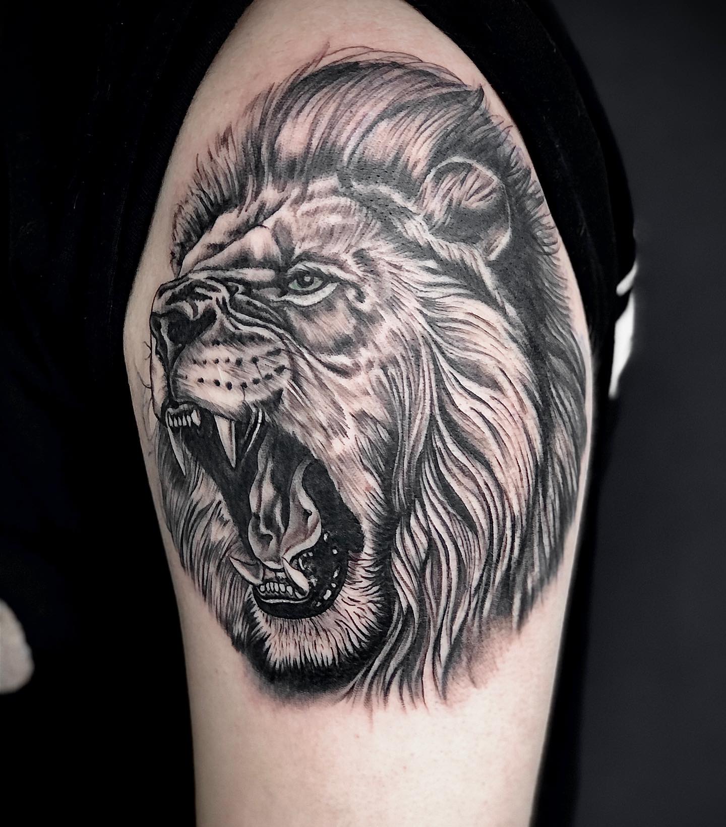 Realistic Lion Roaring