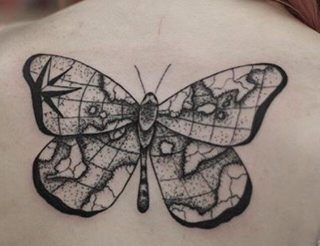 Butterfly with Map Wings