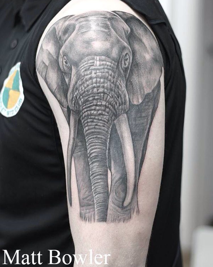 Realistic Elephant