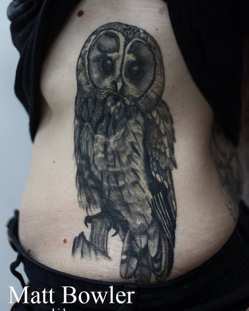 Realistic Owl