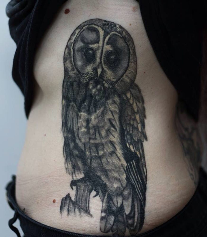 Realistic Owl