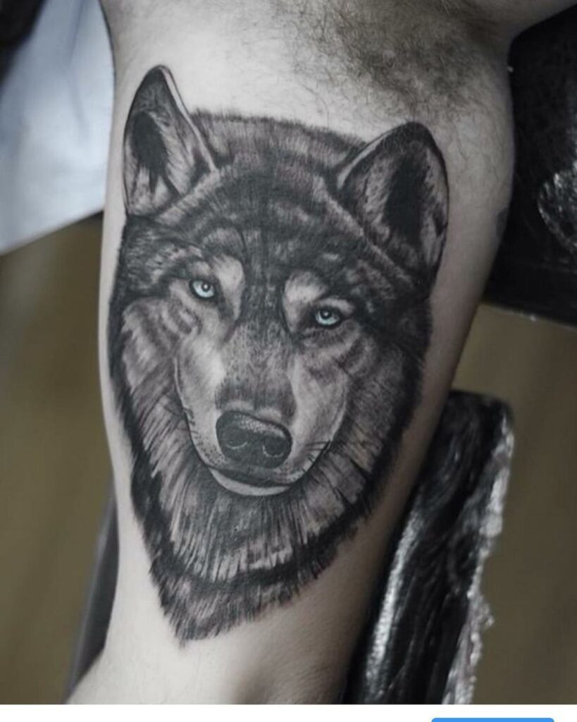 Realistic Wolf