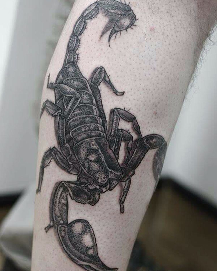 Realistic Scorpion