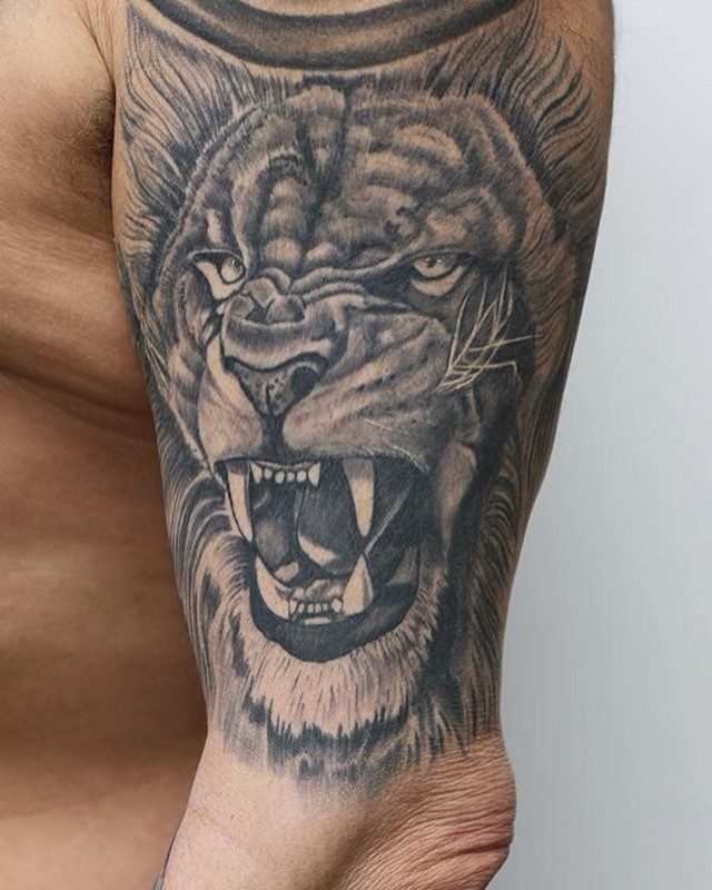 Realistic Lion Roaring