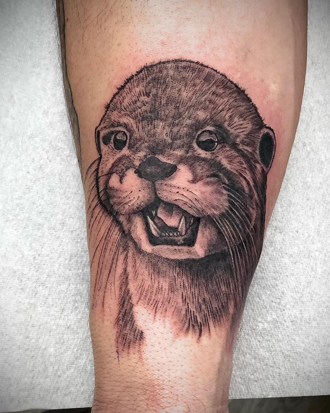 Realistic Otter