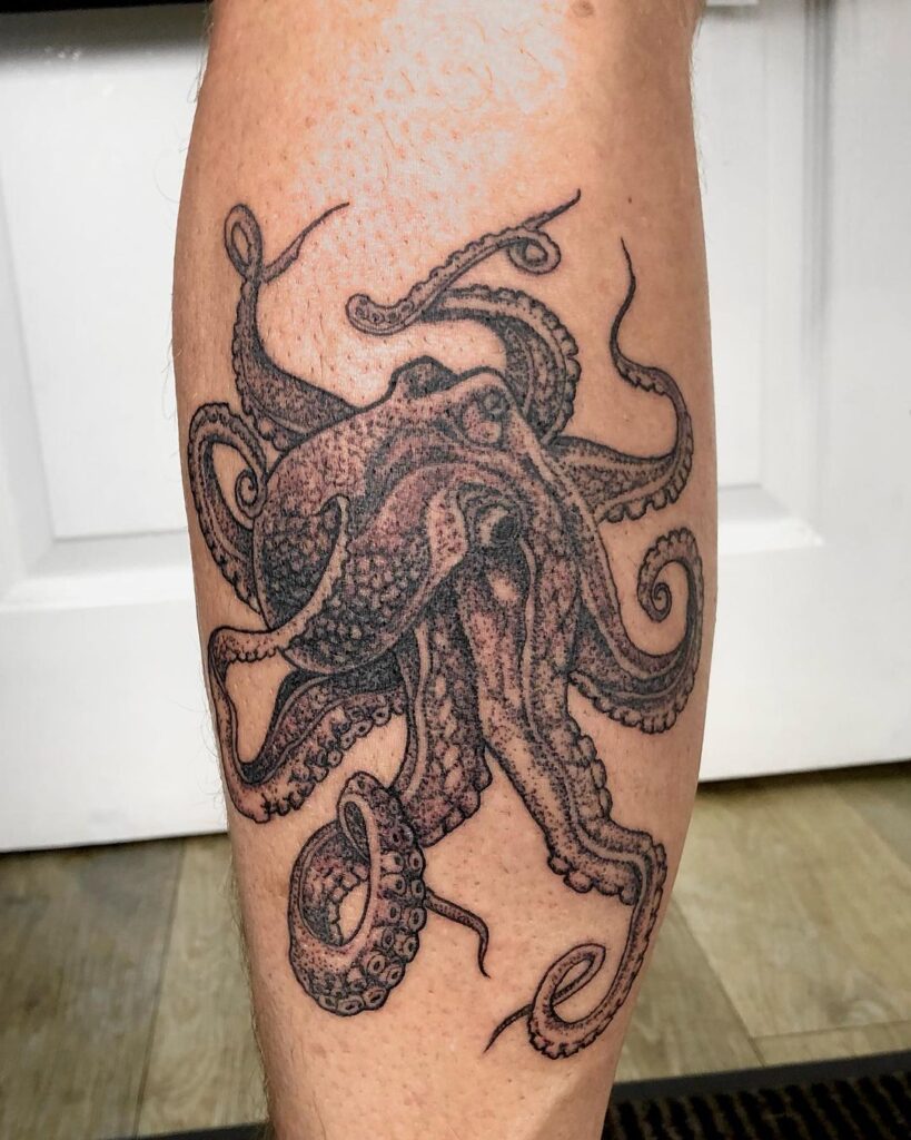 Octopus