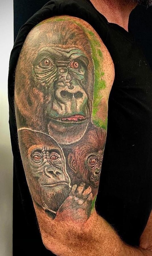 Realistic Gorilla Apes