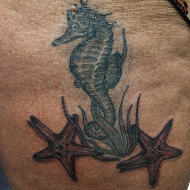 Seahorse and Starfish