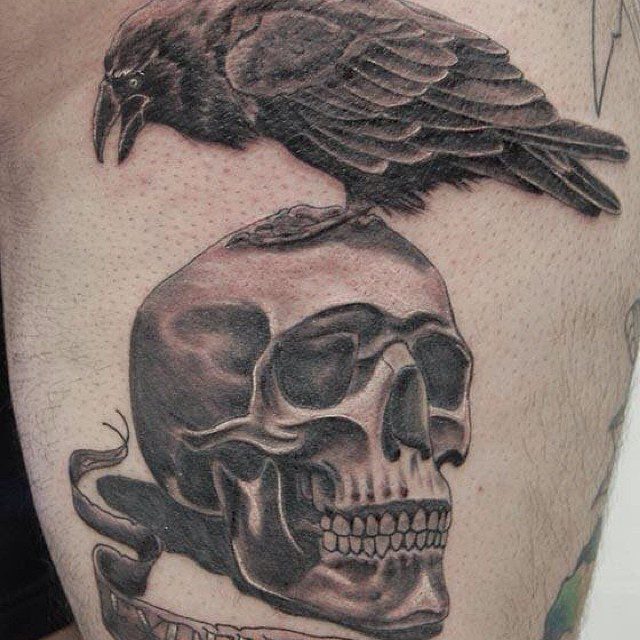 Gothic Raven Perched on Skull